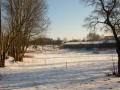 Winterbilder